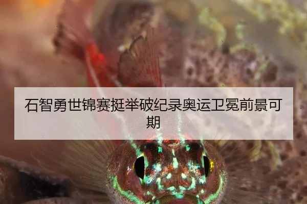 石智勇世锦赛挺举破纪录奥运卫冕前景可期
